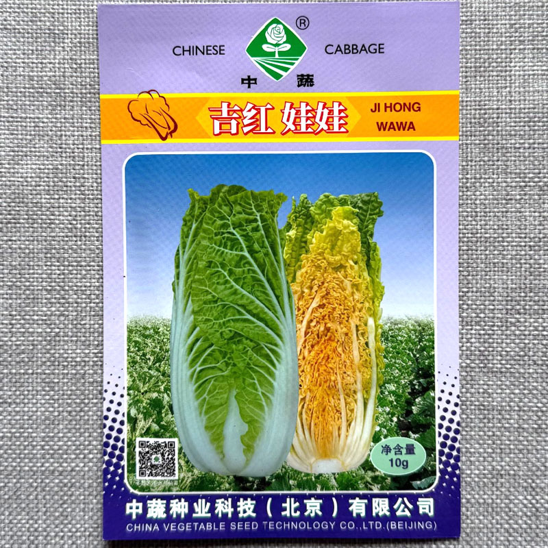 吉红娃娃菜种子早熟橘红心品种叶球合抱筒形