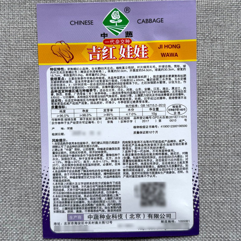 吉红娃娃菜种子早熟橘红心品种叶球合抱筒形