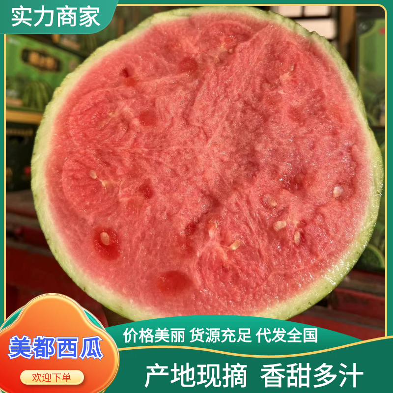 美都西瓜精品西瓜无籽脆瓤红壤质量三包量大优惠