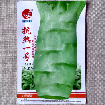 抗热一号莴笋种子大尖叶香莴笋种子耐热皮肉嫩绿香脆