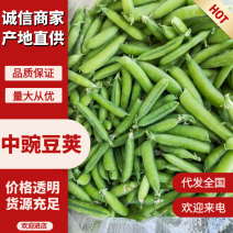 中豌六号，九号豌豆，颗粒饱满，货源充足，诚信合作。
