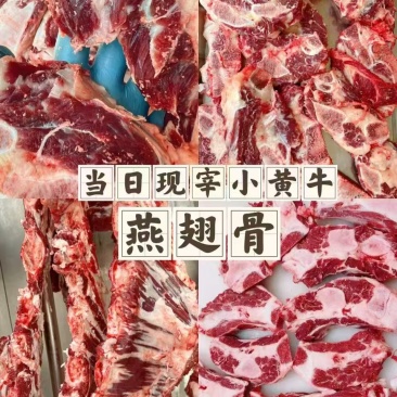 燕翅骨厂家一手货源品质保障视频看货售后保障对接全国
