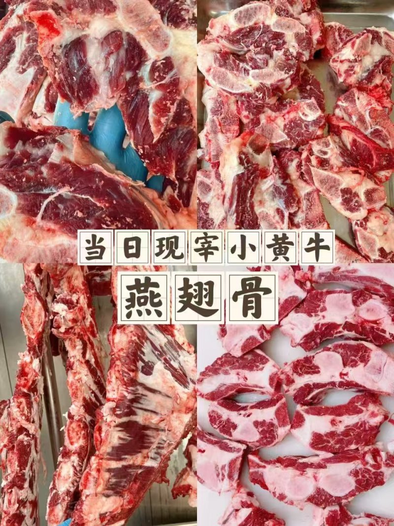 燕翅骨厂家一手货源品质保障视频看货售后保障对接全国