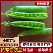 中豌六号，九号豌豆，长寿仁豌豆，货源充足，诚信合作。