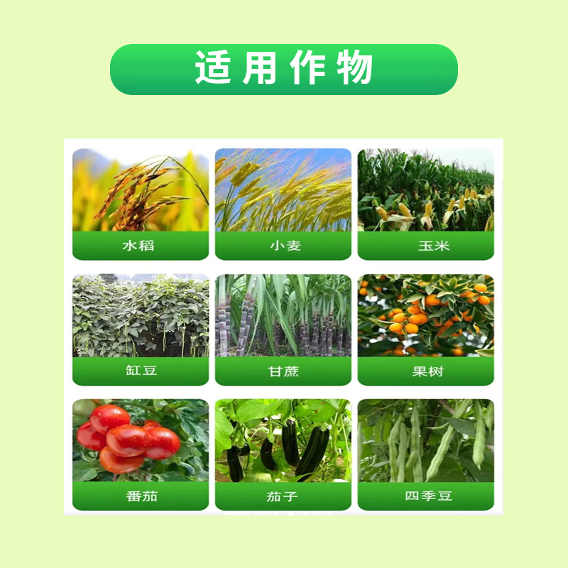 呋虫胺啶虫脒白粉虱蚜虫一套一桶水