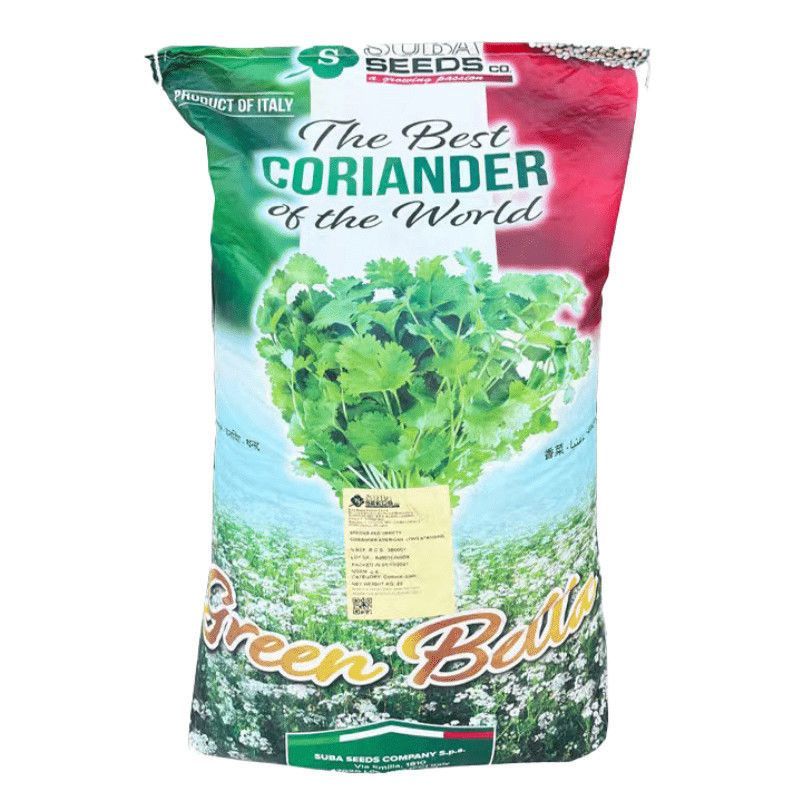 意大利苏泊香菜种子耐热耐寒耐抽苔叶绿油亮出苗快