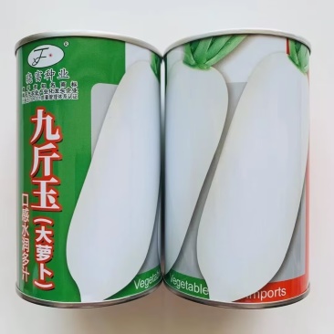 九斤玉大萝卜种子口感水润多汁皮肉白色两端钝圆