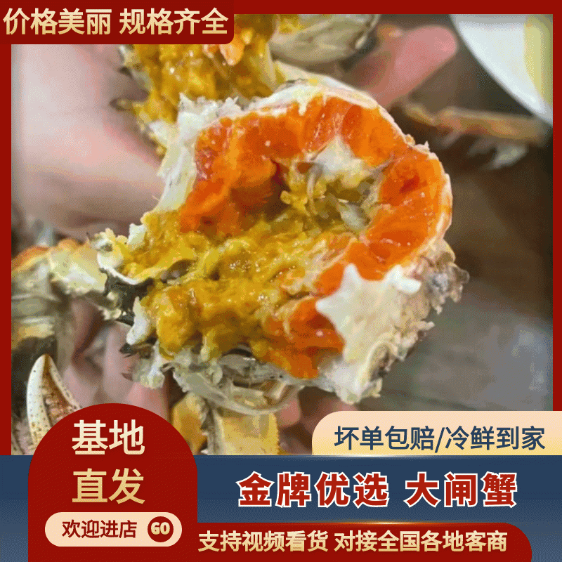 【推荐】大闸蟹一件代发、供应各大水产批发市场，海鲜零售店
