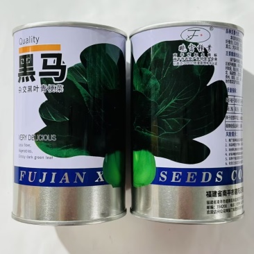 黑马杂交黑叶青梗菜种子耐热耐湿抗病大头束腰叶色黑油亮