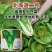 北海道二号快菜种子苗用型大白菜种子生长速度快