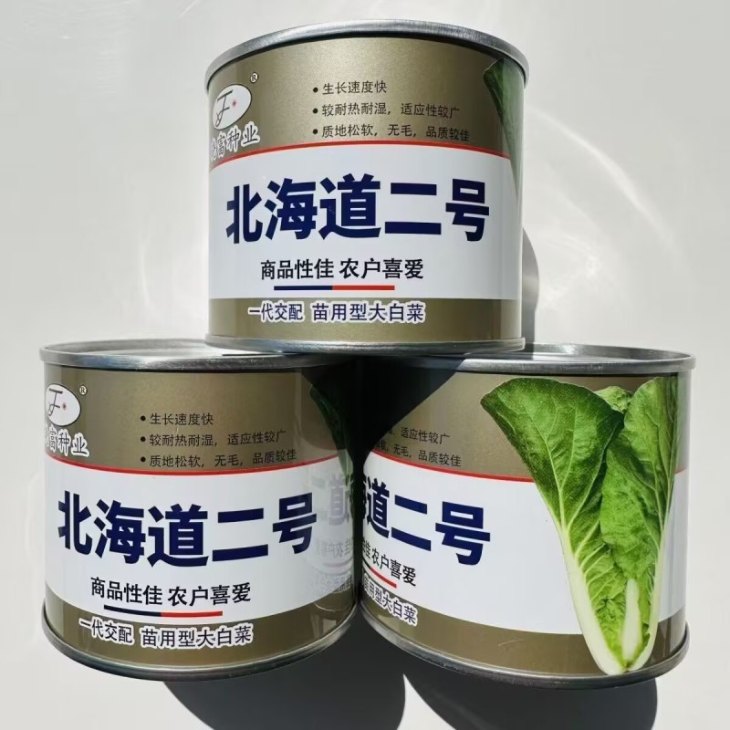 北海道二号快菜种子苗用型大白菜种子生长速度快