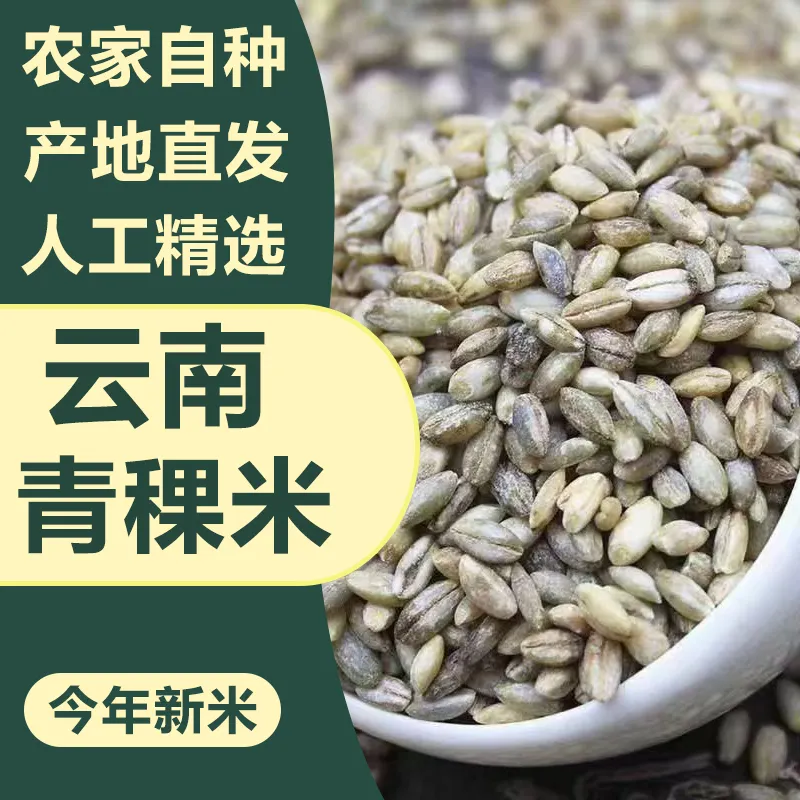 青稞米