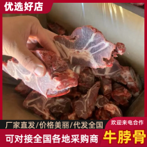 牛脖骨厂家直发品质保障对接全国量大优惠来电咨询