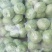 苤蓝现货直供精品货源新鲜采摘对接各大平台