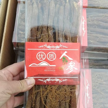 东北人参/红参/产地直发/大量上市/全年供应品质保障