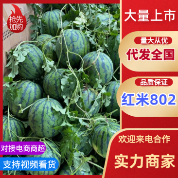 四川江油市红蜜西瓜直发红蜜802西瓜包熟包甜欢迎咨询