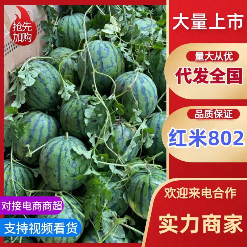 四川江油市红蜜西瓜直发红蜜802西瓜包熟包甜欢迎咨询