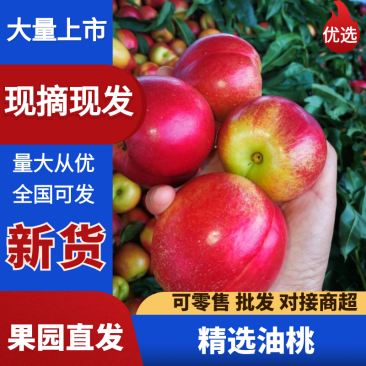 湖北曙光油桃湖北油桃襄阳油桃价格实惠口感好耐运输