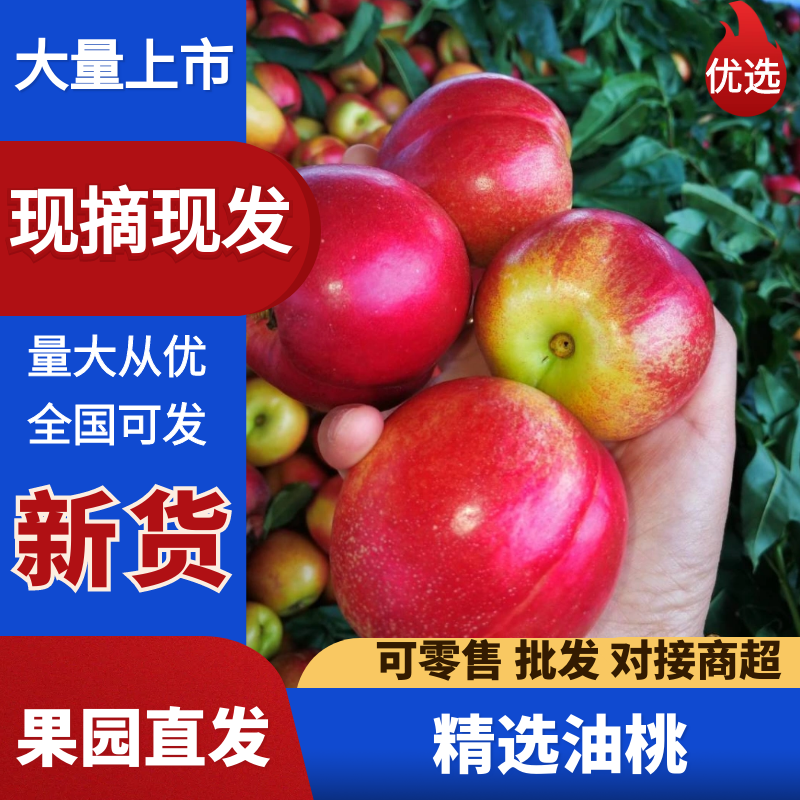 湖北曙光油桃湖北油桃襄阳油桃价格实惠口感好耐运输