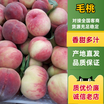 推荐毛桃湖北毛桃果园直发价格实惠品质保障对接市场商超