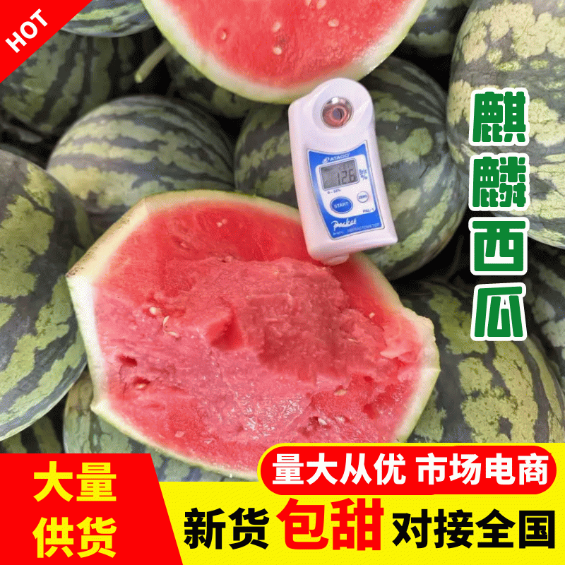 [麒麟西瓜批发]云南西双版纳勐海县西瓜 2.00元/斤云南西双版 _ 一亩田