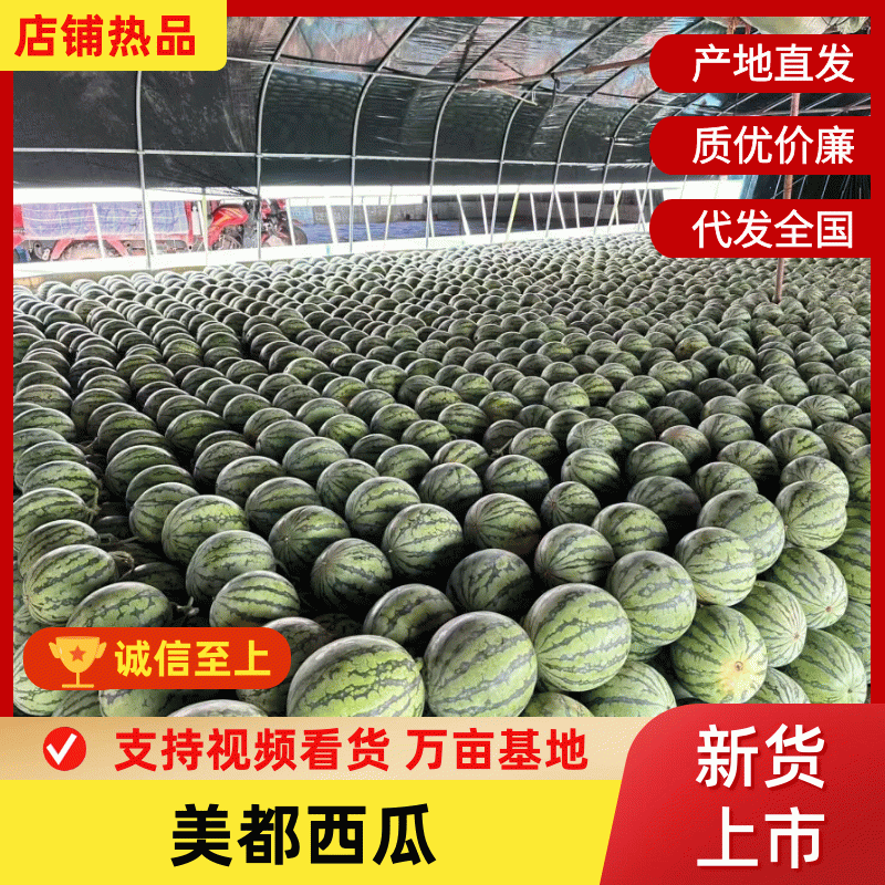 [美都西瓜批发]云南西双版纳勐海县西瓜 2.00元/斤西双版纳勐 _ 一亩田