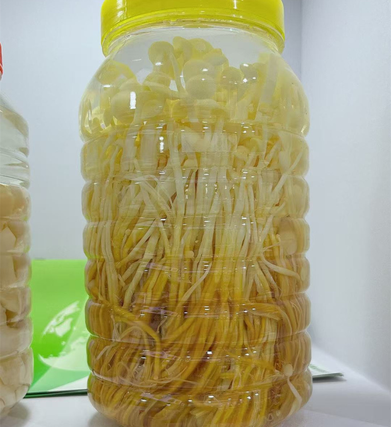 腌制蘑菇清水滑子菇金针菇新鲜腌制加工定制