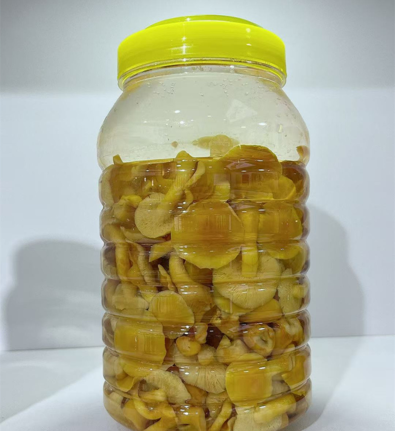 腌制蘑菇清水滑子菇金针菇新鲜腌制加工定制