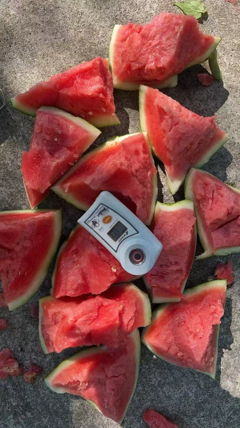 山西无籽美都西瓜，品质好，货量充足，可视频看货选货
