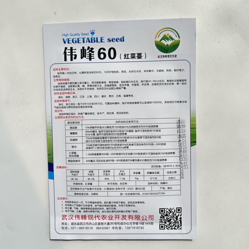 正宗武汉红菜苔种子批2克洪山早熟高产耐寒1秋季菜心四季优