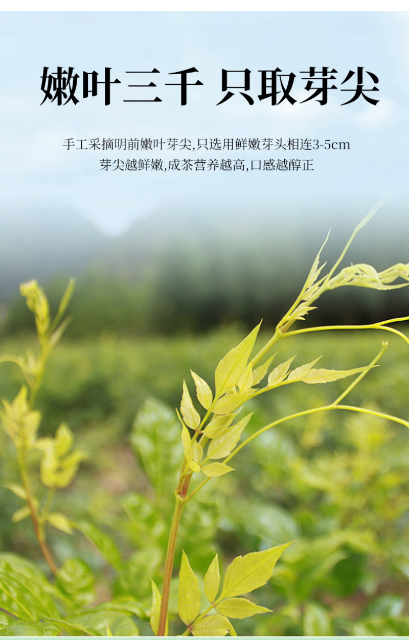张家界莓茶源头厂家产地直销
