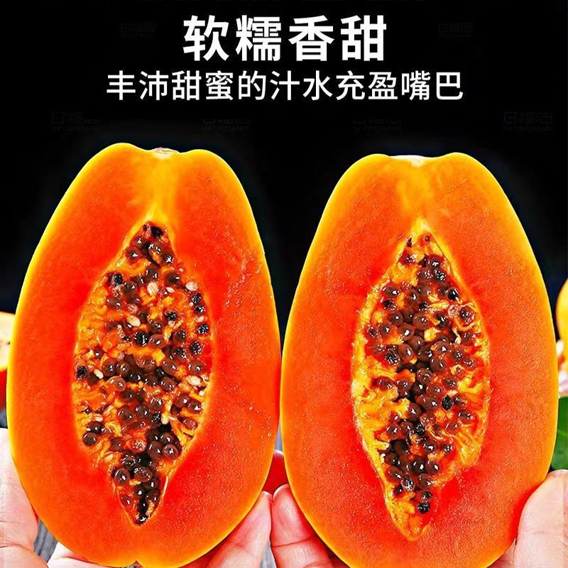 【一件代发】冰糖心牛奶木瓜超甜红心木瓜树上熟整箱批发水果