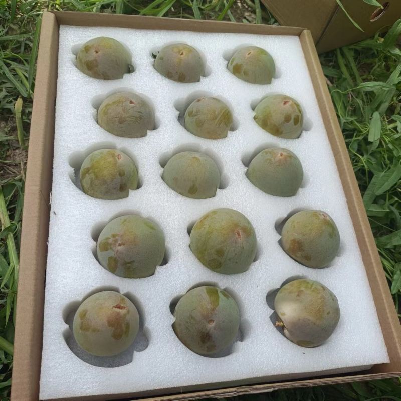 湖北味帝李大量上货欢迎老板来电咨询也可视频看货
