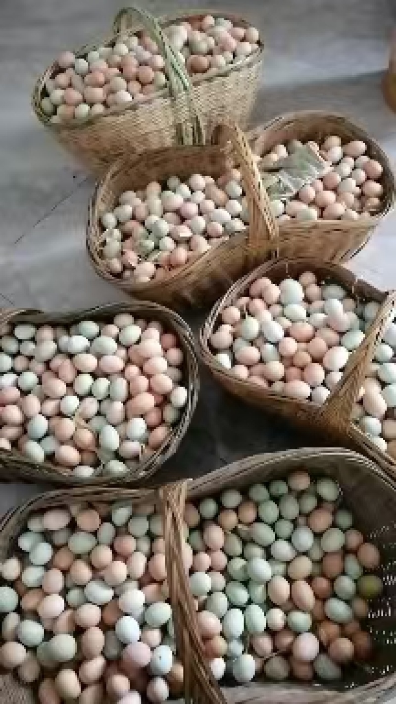 散养土鸡蛋农场直供自产自销品质保证