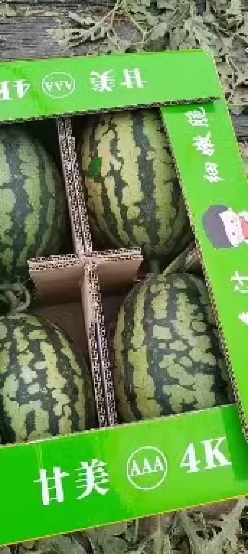 【甘美4K西瓜】全国发货蒲城产地直发各种货均有