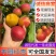 《丰园红杏》基地直供/现摘现发/货源充足/全国发货一条龙