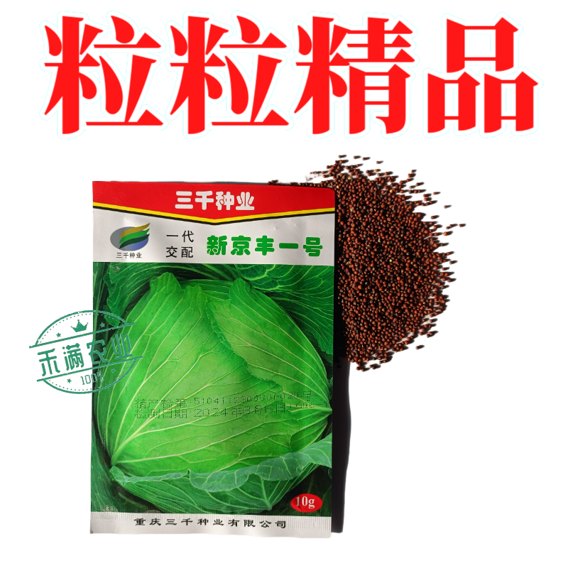 新品种新京丰一号甘蓝种子高产秋播蔬菜种孑包菜甘蓝种子
