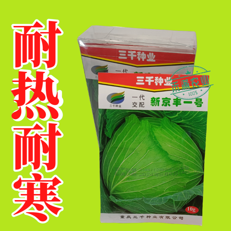 新品种新京丰一号甘蓝种子高产秋播蔬菜种孑包菜甘蓝种子