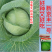 新品种新京丰一号甘蓝种子高产秋播蔬菜种孑包菜甘蓝种子