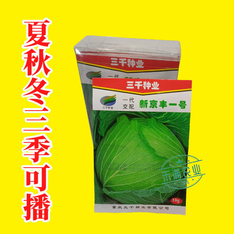 新品种新京丰一号甘蓝种子高产秋播蔬菜种孑包菜甘蓝种子