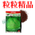 特耐寒耐热春秋播种甘蓝种子包菜种子莲花白种籽扁平圆形蔬菜