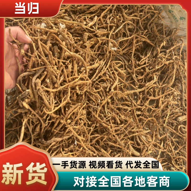 【当归】甘肃岷县优质当归有硫当归股子全干货可打粉