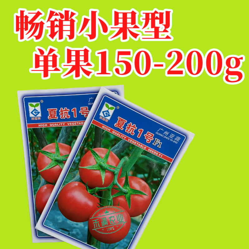 亚蔬夏抗1号小果型大红番茄种子无限生长高产抗病耐热水果番