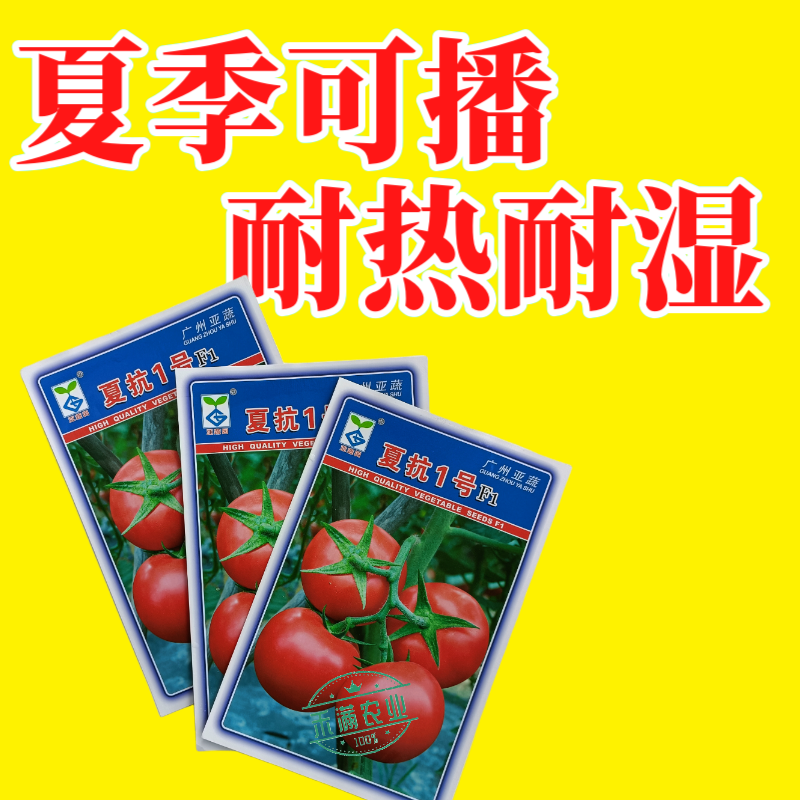 亚蔬夏抗1号小果型大红番茄种子无限生长高产抗病耐热水果番