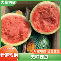 无籽西瓜安徽西瓜产地直发质量三包对接全国市场等