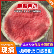 麒麟西瓜阜阳西瓜产地一手货源糖度高耐运输量大优惠
