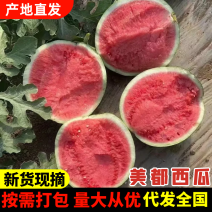 无籽美都西瓜皮薄红瓤质量保证对接全国档口商超等