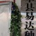 端午艾草专业种植基地直发价格实惠常年供应各种艾草欢迎电联