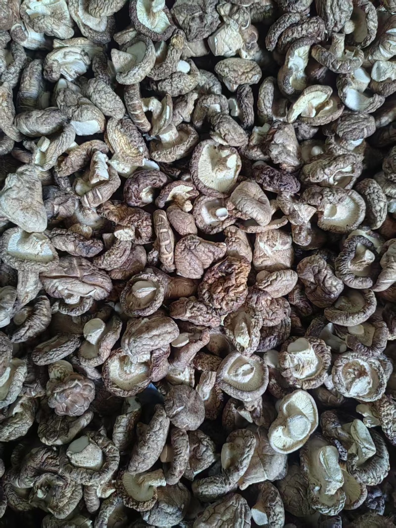 河北香菇承德香菇片干香菇常年供应价格实惠欢迎联系
