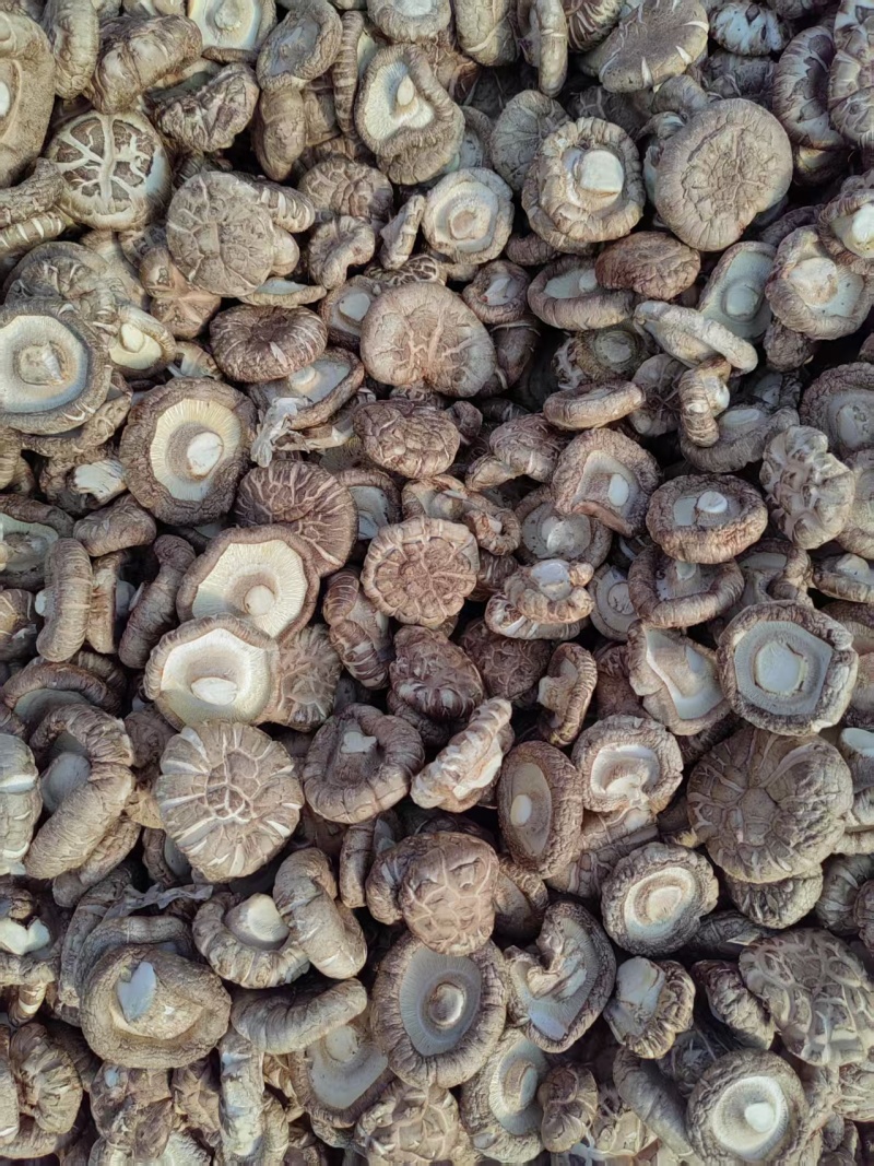 河北香菇承德香菇片干香菇常年供应价格实惠欢迎联系